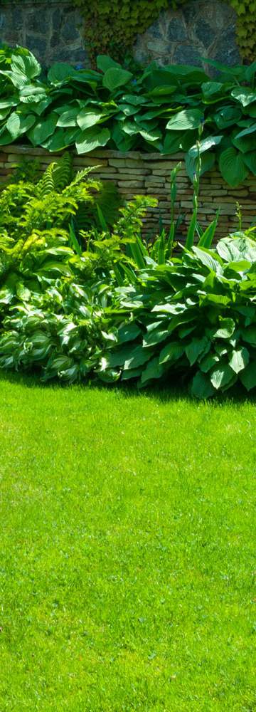 Nous sommes à votre écoute pour l'aménagement de vos jardins et espaces verts