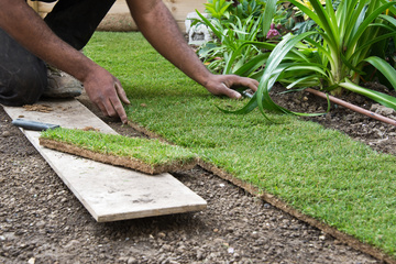 Installer une pelouse après une construction : les étapes à suivre