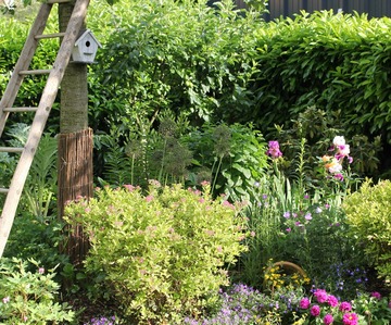 Entretien de jardins et d'espaces verts à Cestas et ses environs