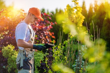 Faites appel aux services d'un professionnel en espaces verts pour profiter d'un beau jardin toute l'année 