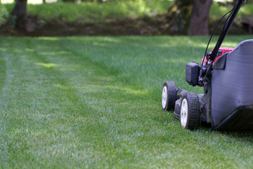 installateur de gazon Villenave-d'Ornon