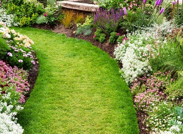 chemin de maison en herbe