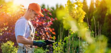 Création et entretien de jardins autour de saucats